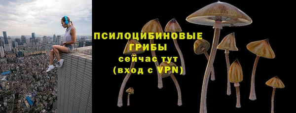 прущий лед Инсар